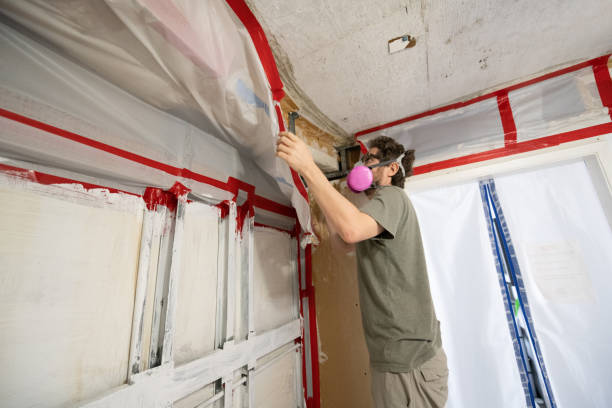 Reliable Comstock Northwest, MI Mold Removal Solutions