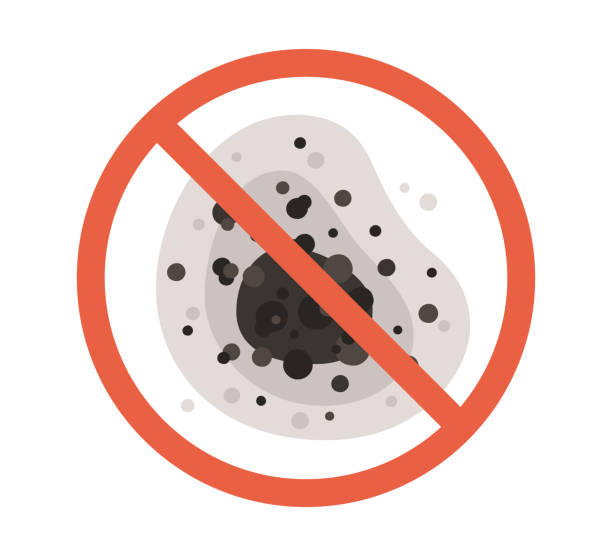 Best Emergency Mold Remediation  in Comstock Northwest, MI