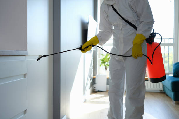Best Crawl Space Mold Remediation  in Comstock Northwest, MI