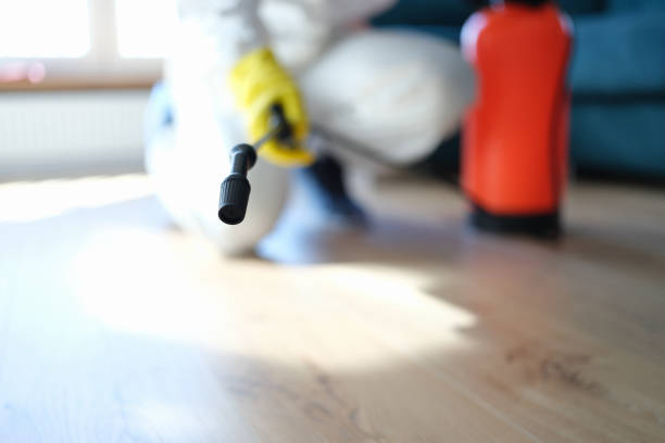 Biohazard Mold Removal in Comstock Northwest, MI