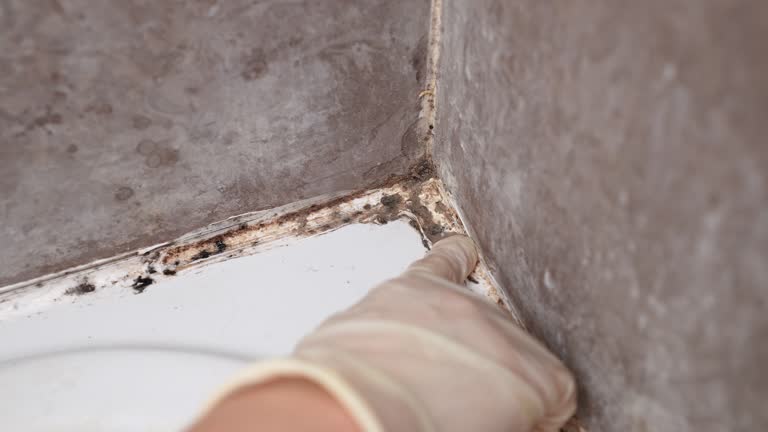 Best Indoor Air Quality Assessment  in Comstock Northwest, MI